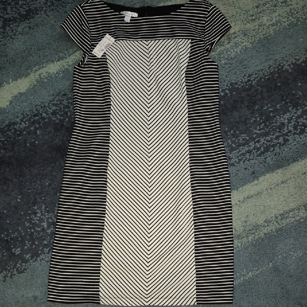 Nwt Dressbarn Black and White Chevron Mini Dress..size 10